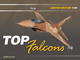 Top Falcons 1/48 - 1/6