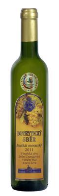 Muškát moravský 0,5 výběr z bobulí  2011 botr. sběr