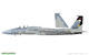 Fighting Eagle 1/48 - 2/7