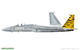 Fighting Eagle 1/48 - 3/7
