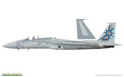 Fighting Eagle 1/48 - 4
