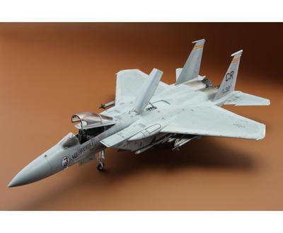 Fighting Eagle 1/48 - 6