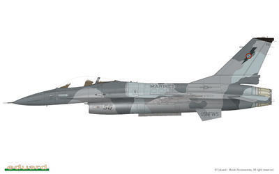 Top Falcons 1/48 - 6