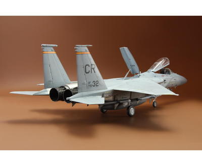 Fighting Eagle 1/48 - 7